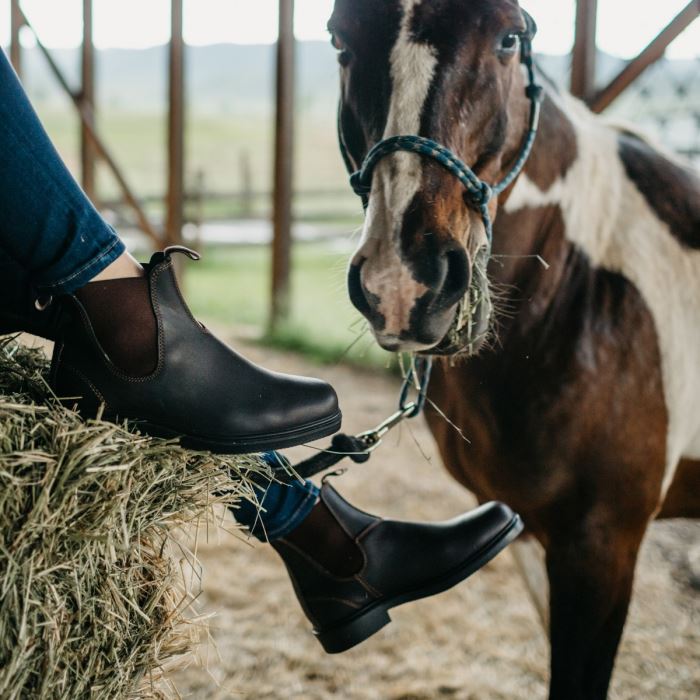Youth Dress Chelsea Boots Stout Brown Blundstone
