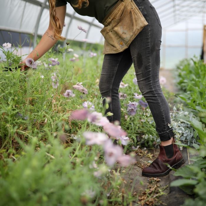 Blundstone Women's Classics Chelsea Boots Redwood
